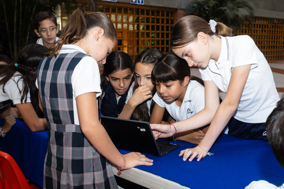 Ir a la Siguiente Foto