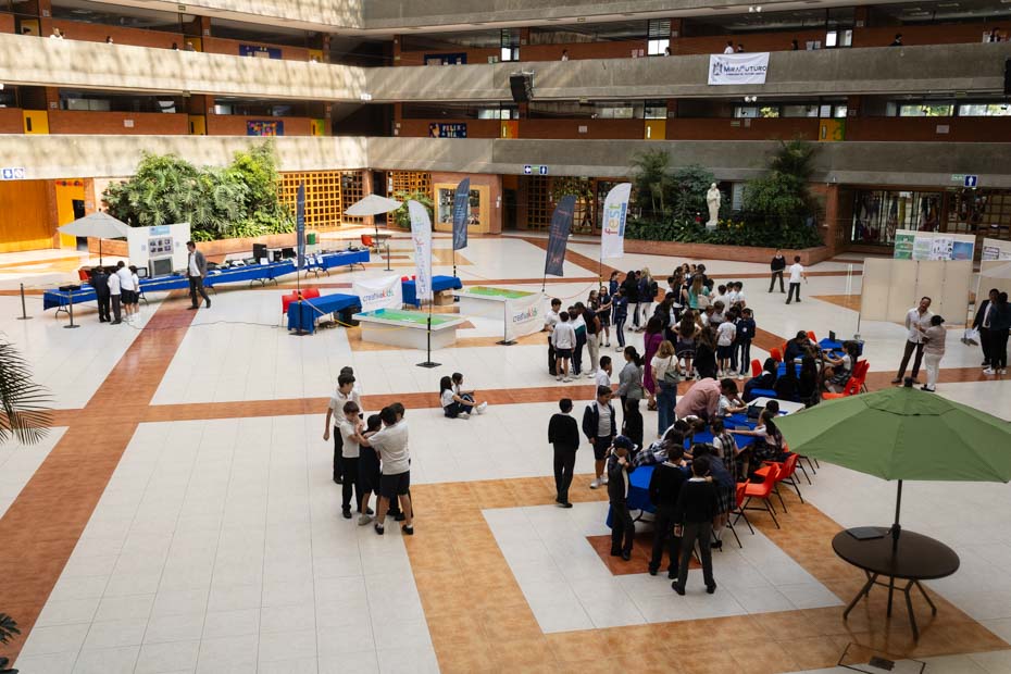 Ir a la Siguiente Foto