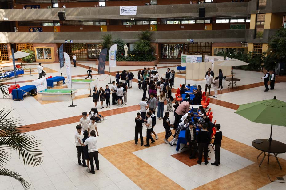 Ir a la Siguiente Foto