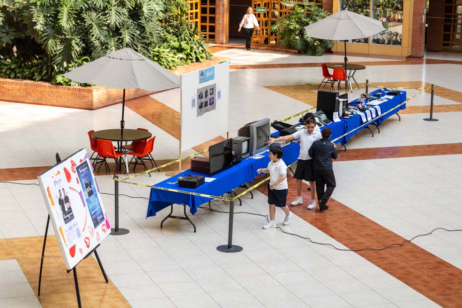 Ir a la Siguiente Foto