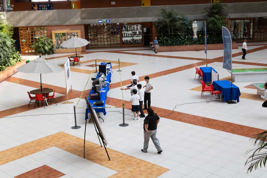 Ir a la Siguiente Foto