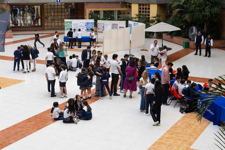 Ir a la Siguiente Foto