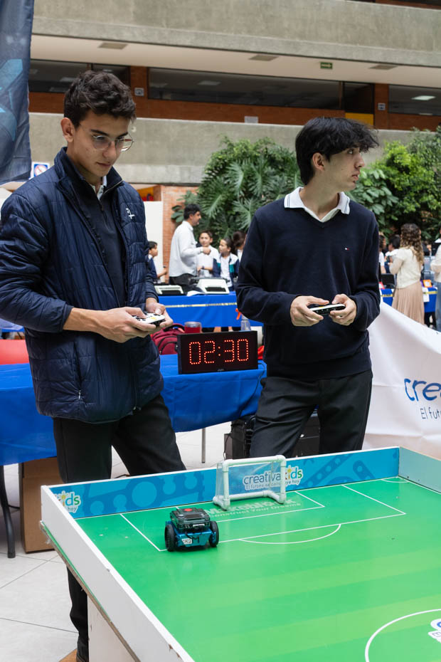 Ir a la Siguiente Foto