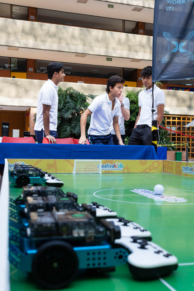 Ir a la Siguiente Foto