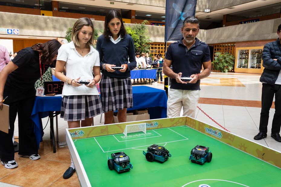 Ir a la Siguiente Foto