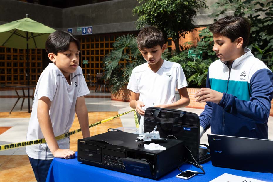 Ir a la Siguiente Foto