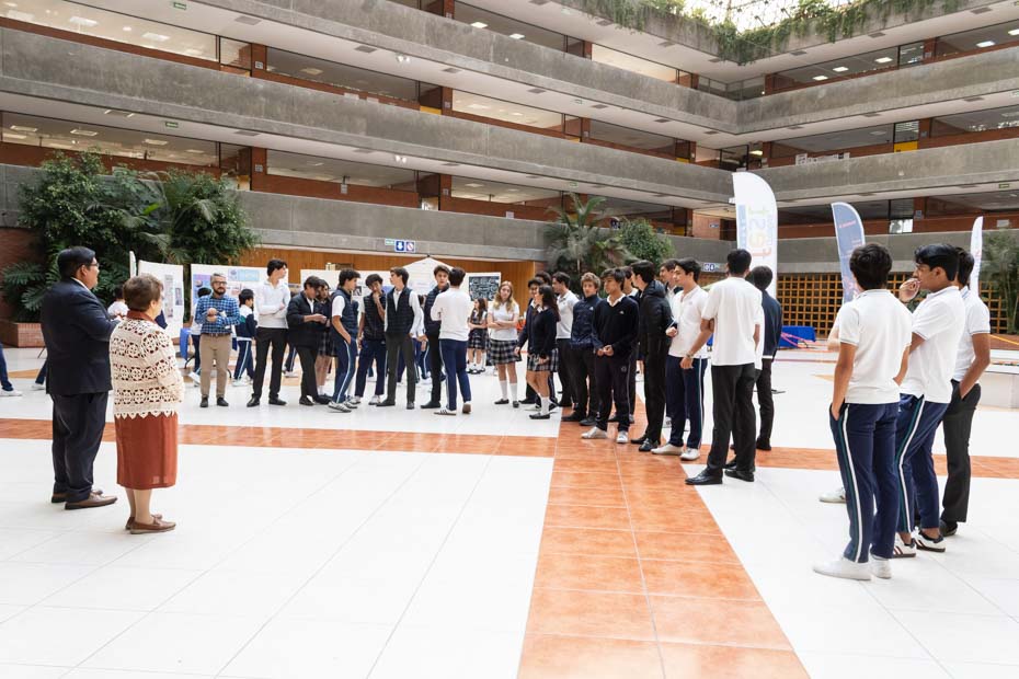 Ir a la Siguiente Foto