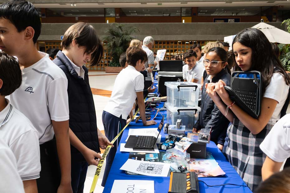 Ir a la Siguiente Foto