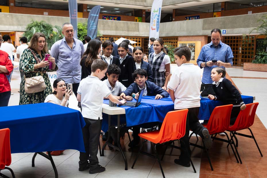 Ir a la Siguiente Foto