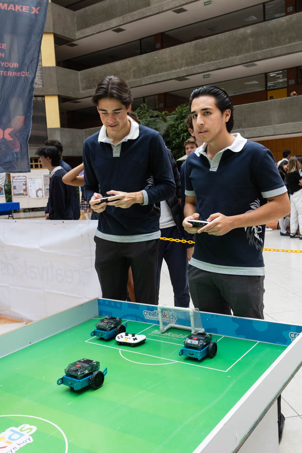 Ir a la Siguiente Foto