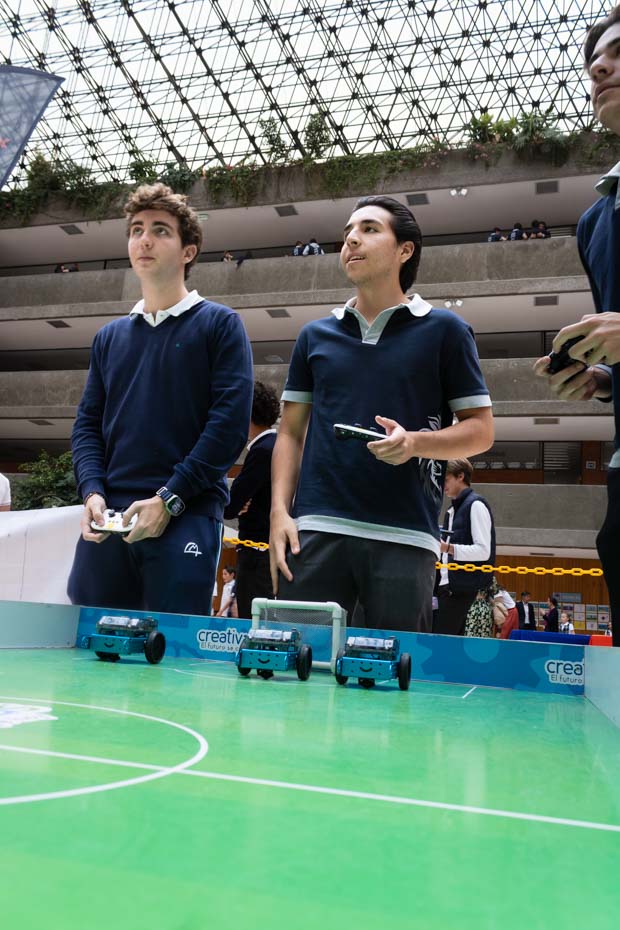 Ir a la Siguiente Foto