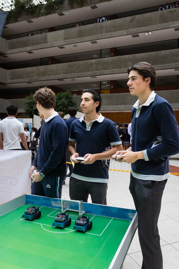 Ir a la Siguiente Foto