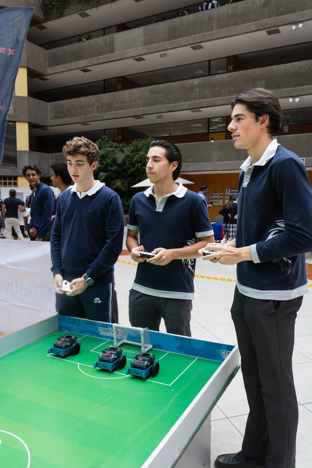 Ir a la Siguiente Foto