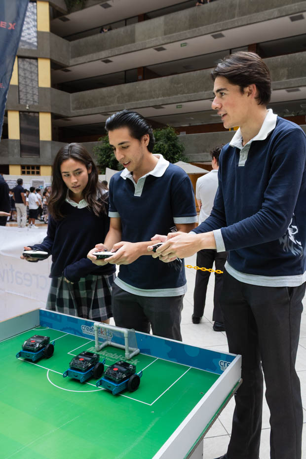 Ir a la Siguiente Foto