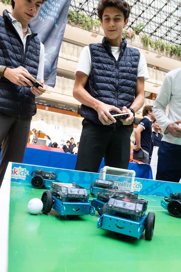 Ir a la Siguiente Foto