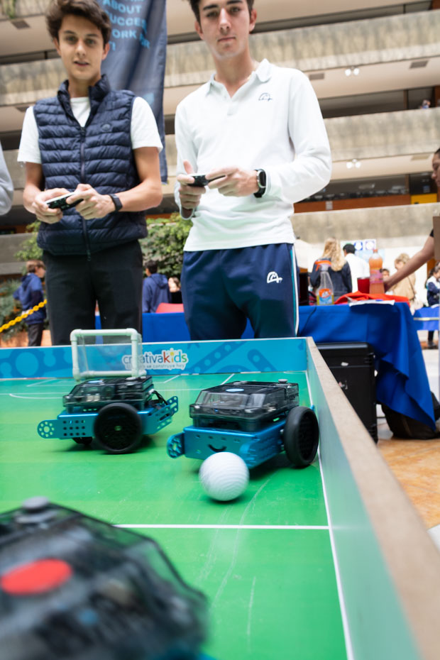 Ir a la Siguiente Foto