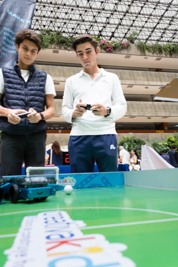 Ir a la Siguiente Foto