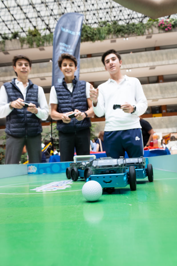 Ir a la Siguiente Foto