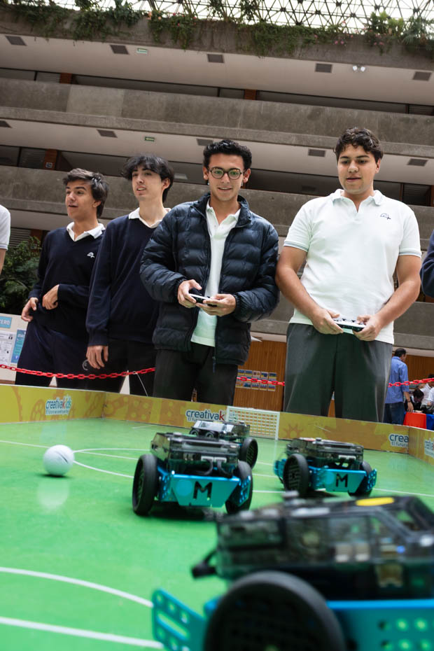 Ir a la Siguiente Foto