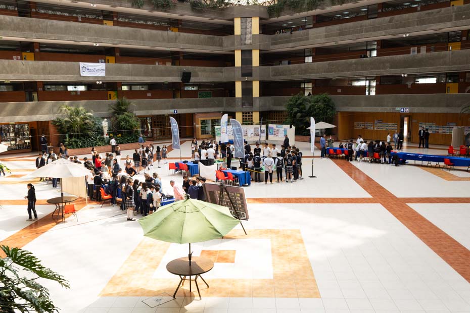 Ir a la Siguiente Foto