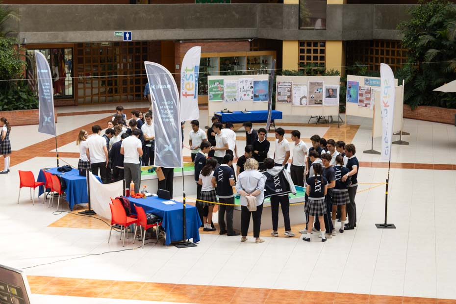 Ir a la Siguiente Foto