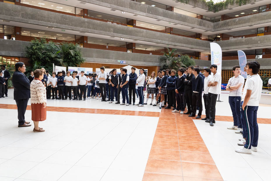 Ir a la Siguiente Foto