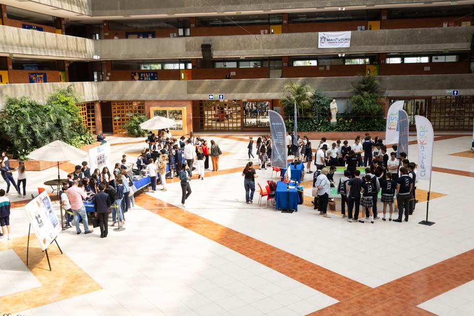 Ir a la Siguiente Foto