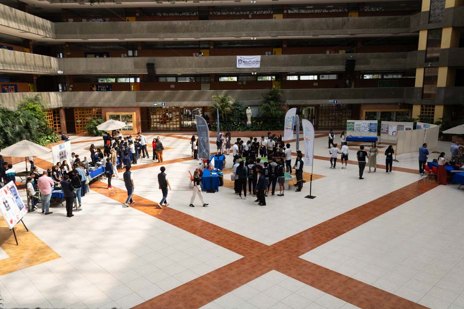 Ir a la Siguiente Foto