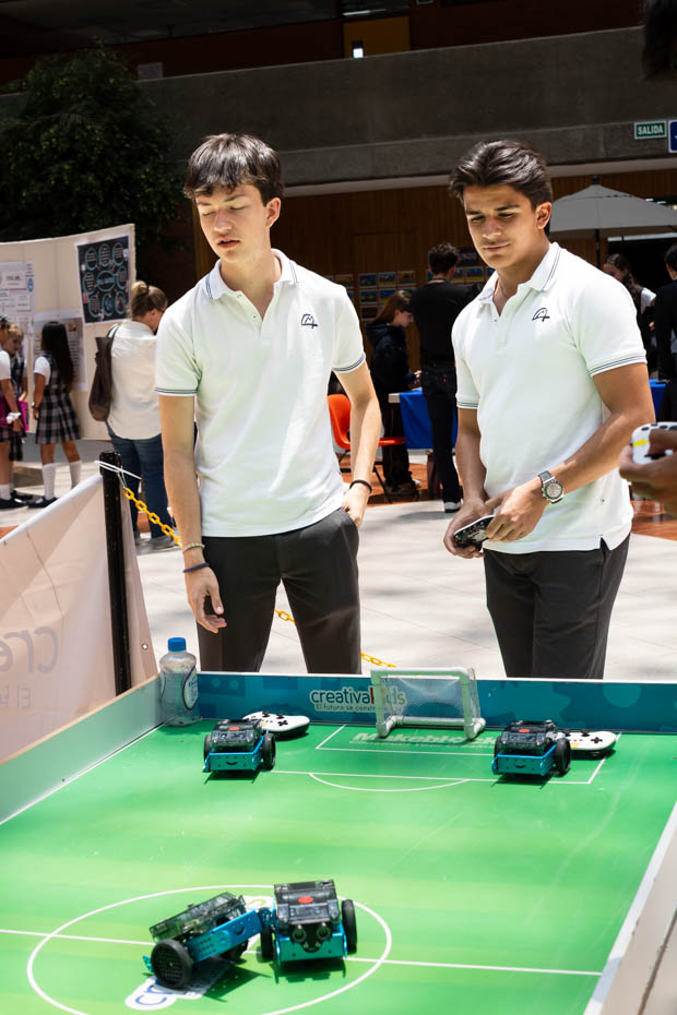 Ir a la Siguiente Foto