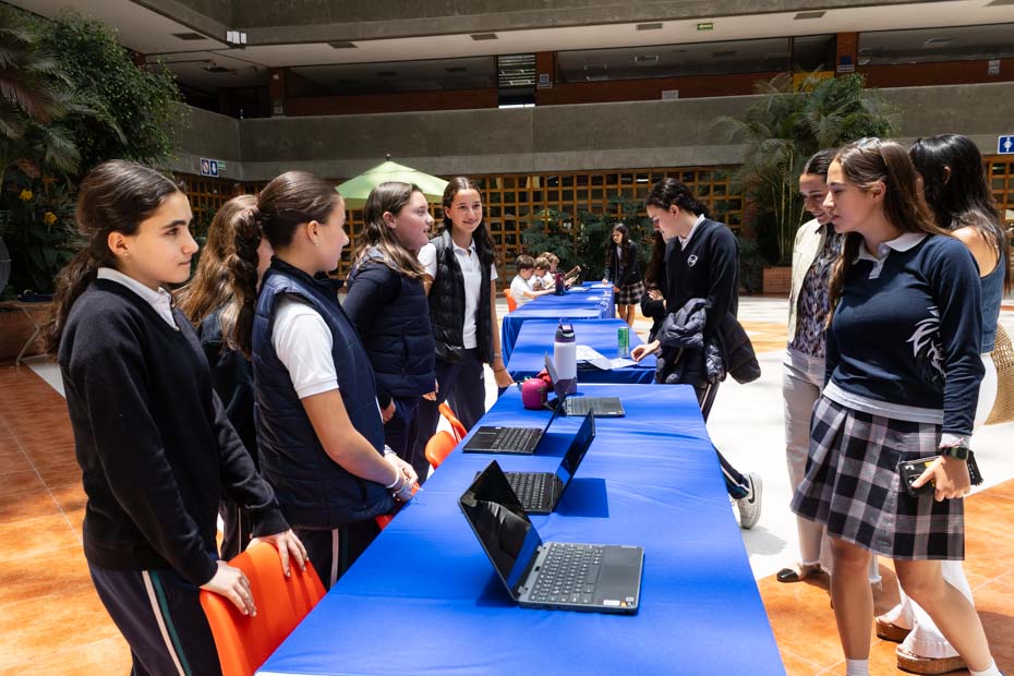 Ir a la Siguiente Foto