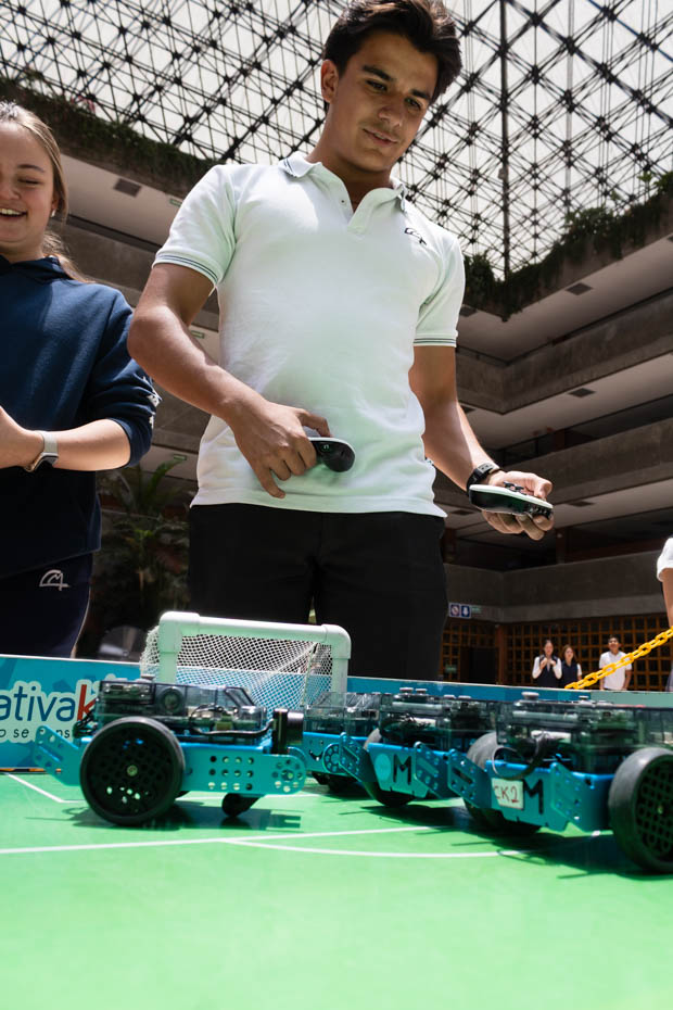 Ir a la Siguiente Foto