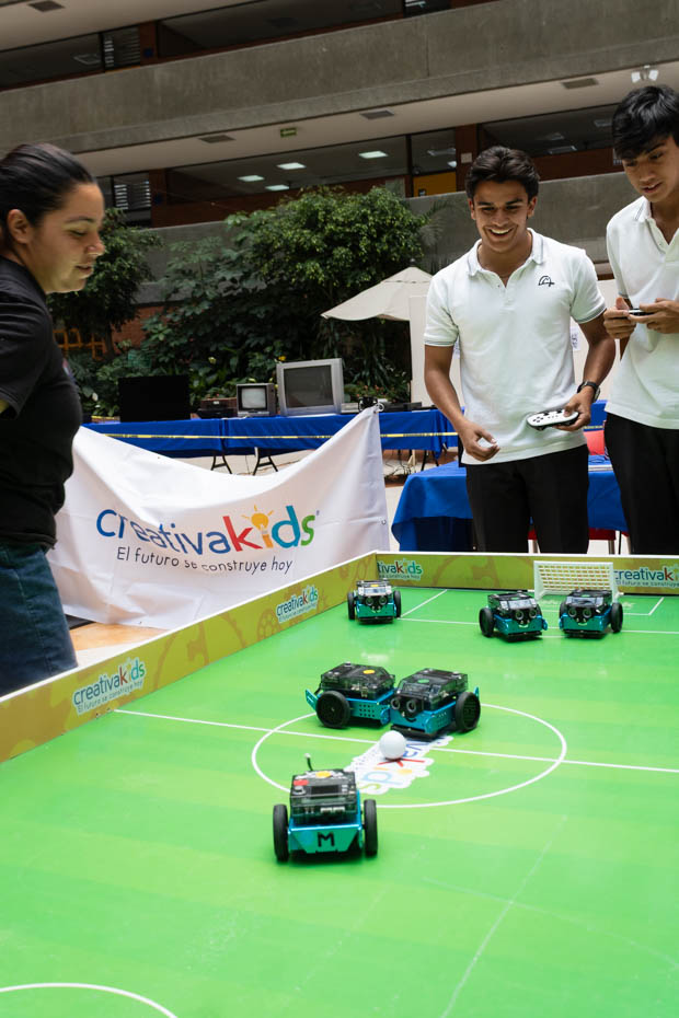 Ir a la Siguiente Foto