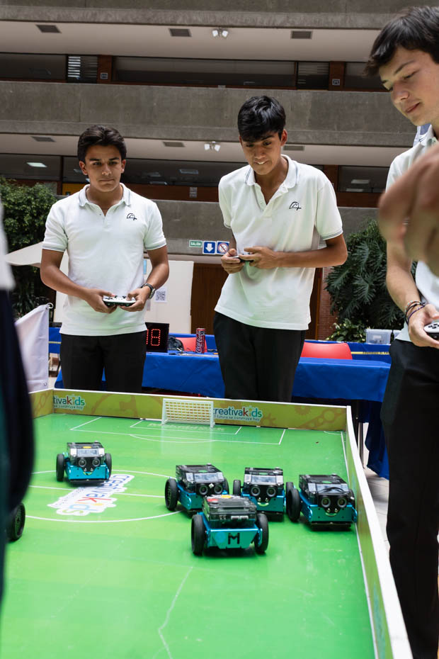 Ir a la Siguiente Foto