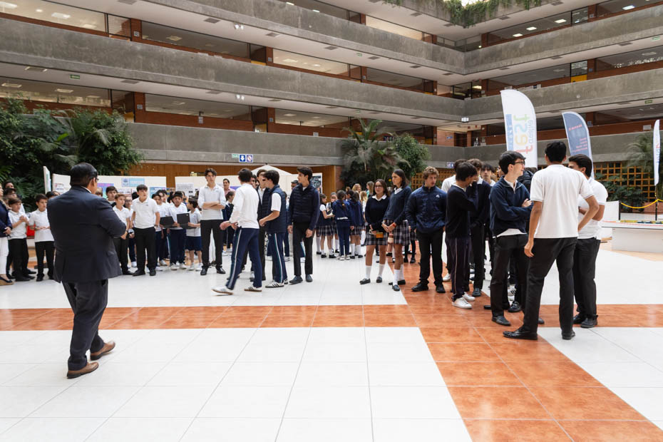 Ir a la Siguiente Foto