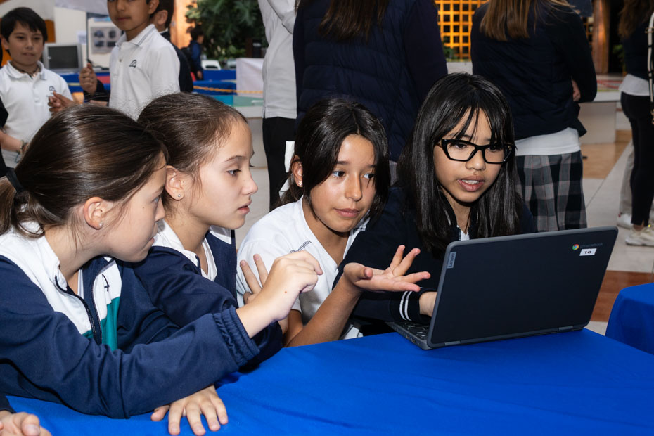 Ir a la Siguiente Foto