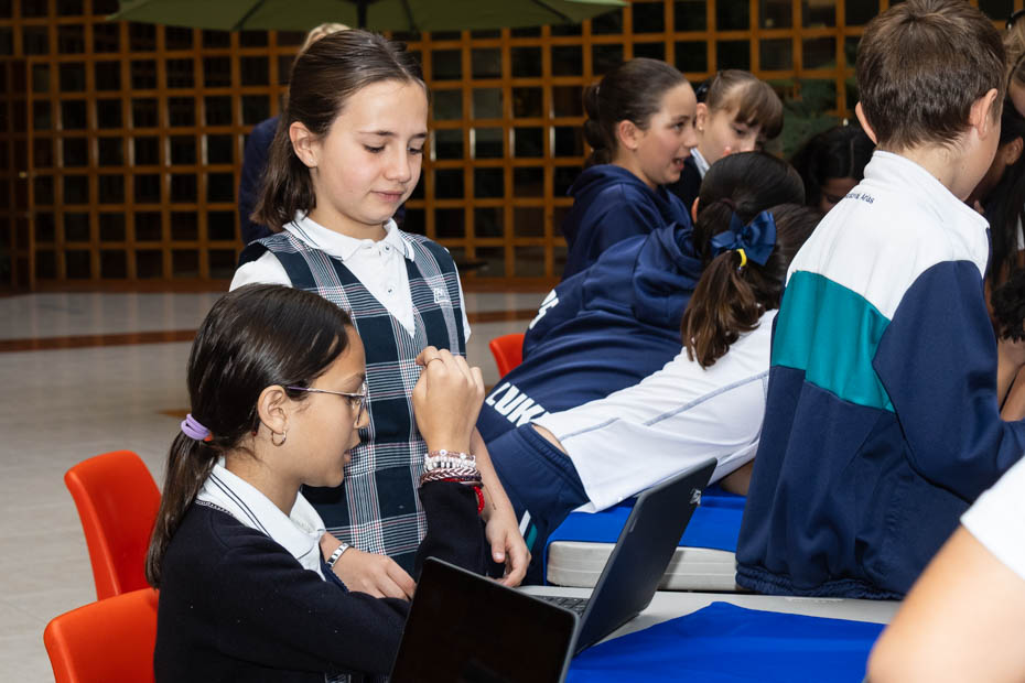 Ir a la Siguiente Foto