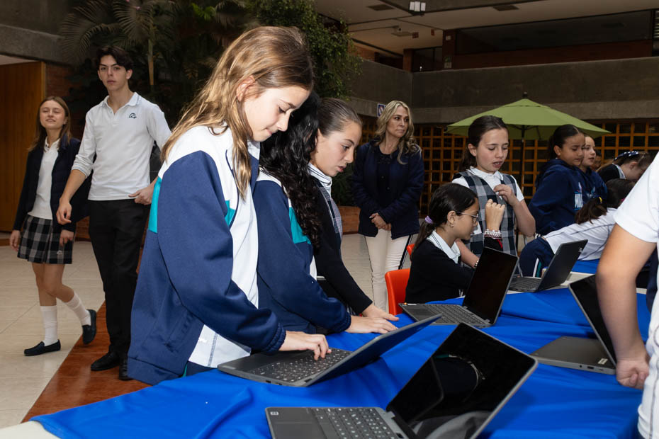 Ir a la Siguiente Foto