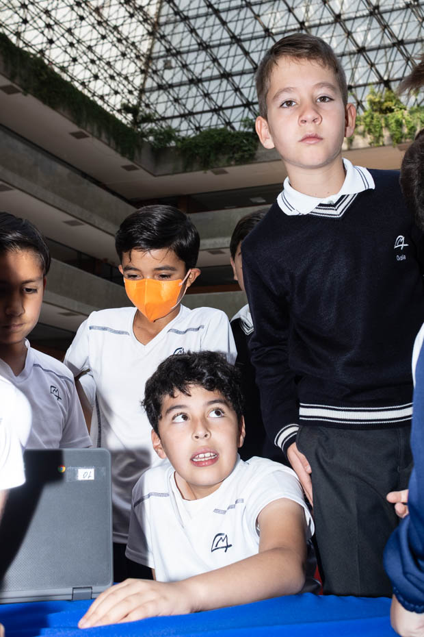 Ir a la Siguiente Foto