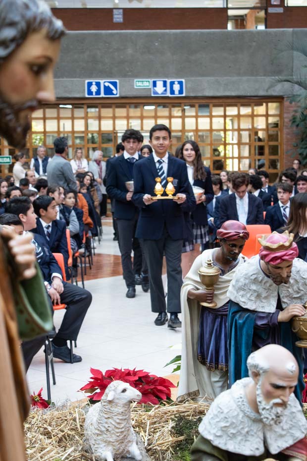 Ir a la Siguiente Foto