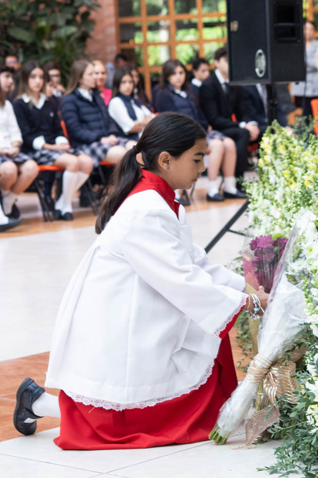 Ir a la Siguiente Foto