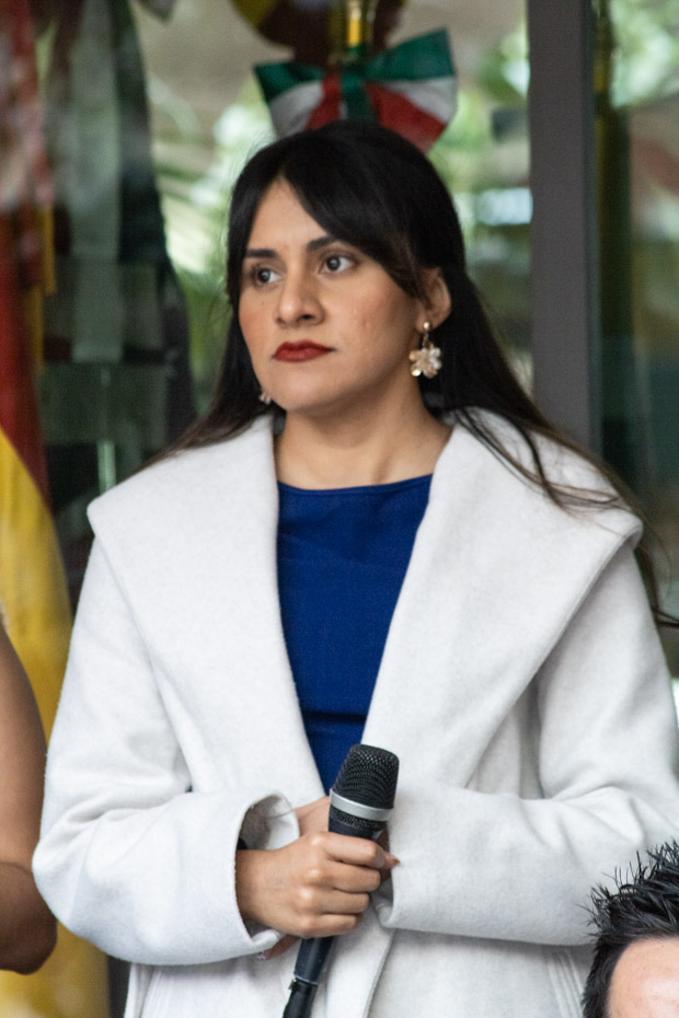 Ir a la Siguiente Foto