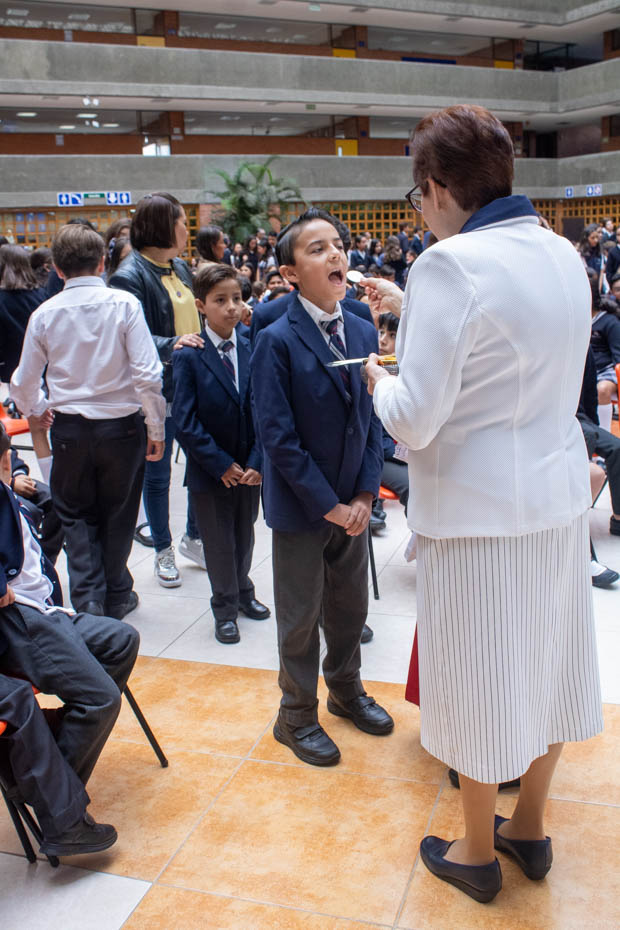 Ir a la Siguiente Foto