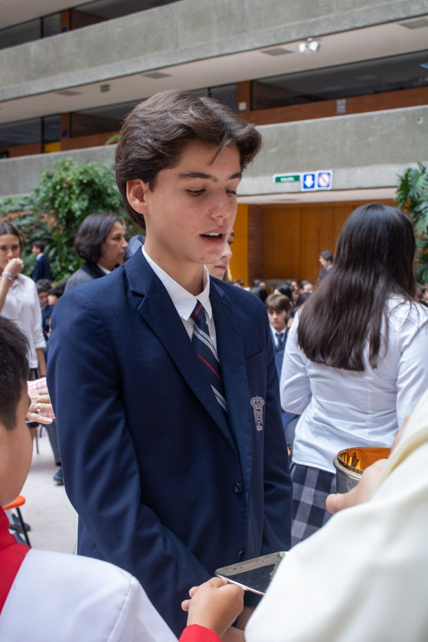 Ir a la Siguiente Foto