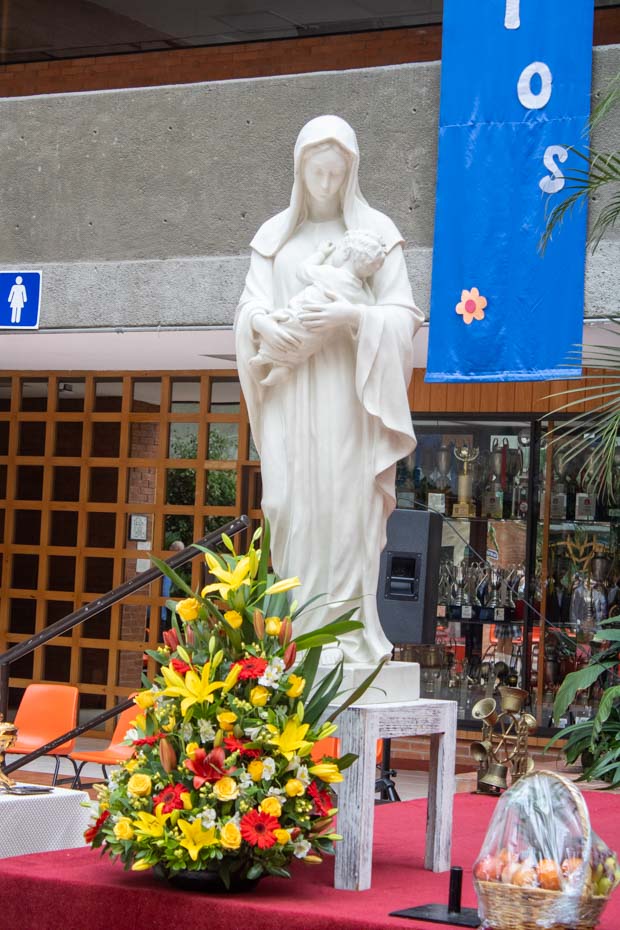 Ir a la Siguiente Foto