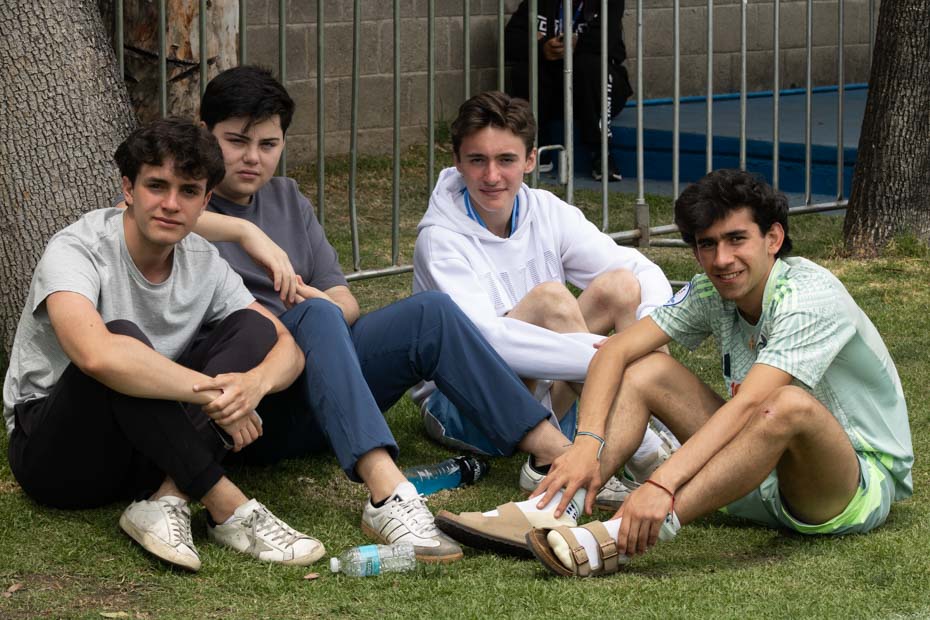 Ir a la Siguiente Foto