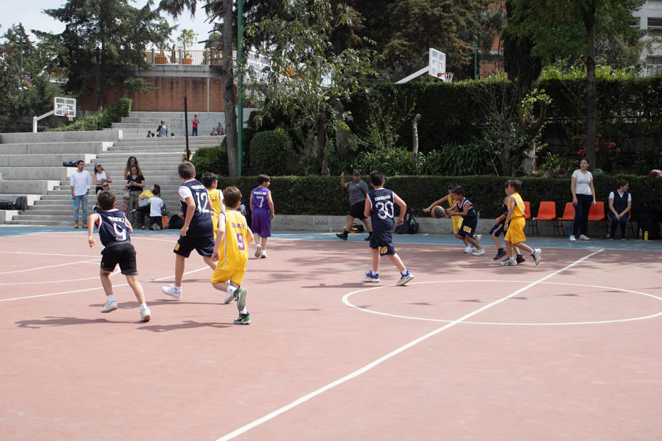 Ir a la Siguiente Foto