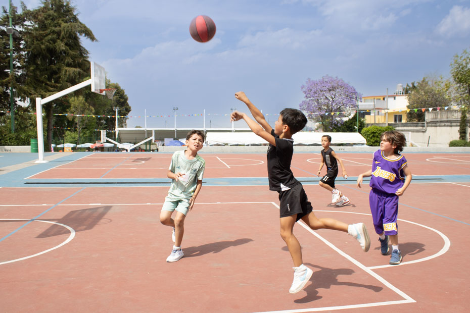 Ir a la Siguiente Foto