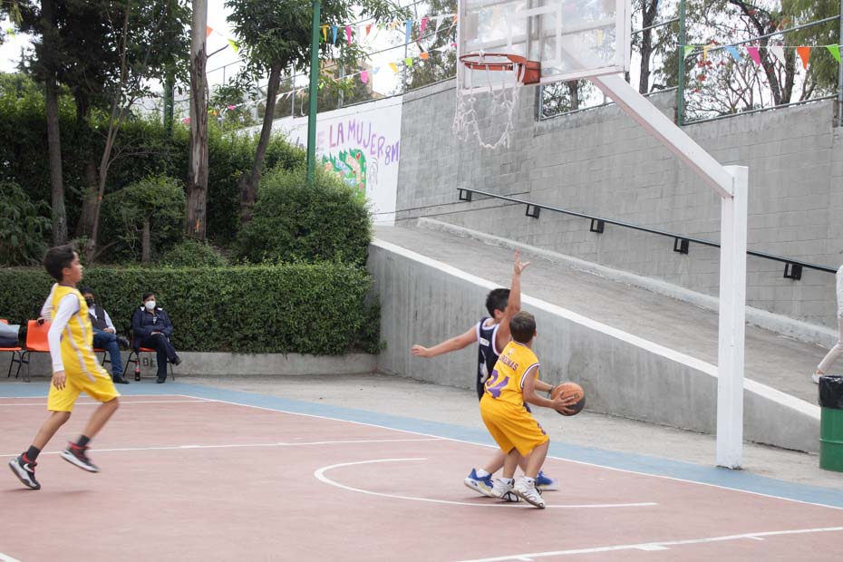 Ir a la Siguiente Foto