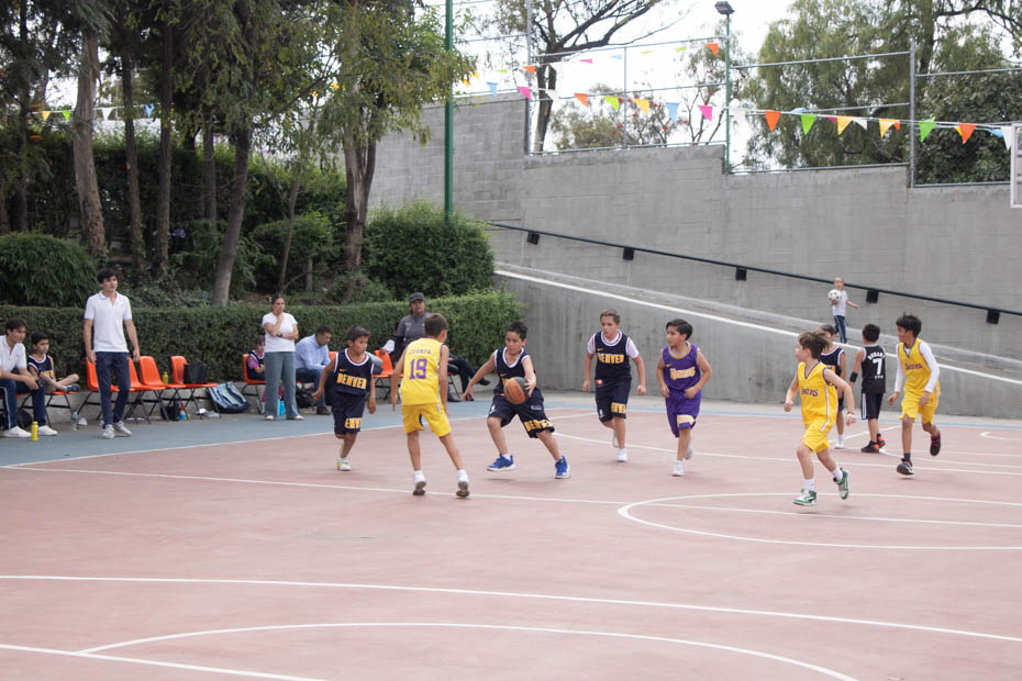 Ir a la Siguiente Foto