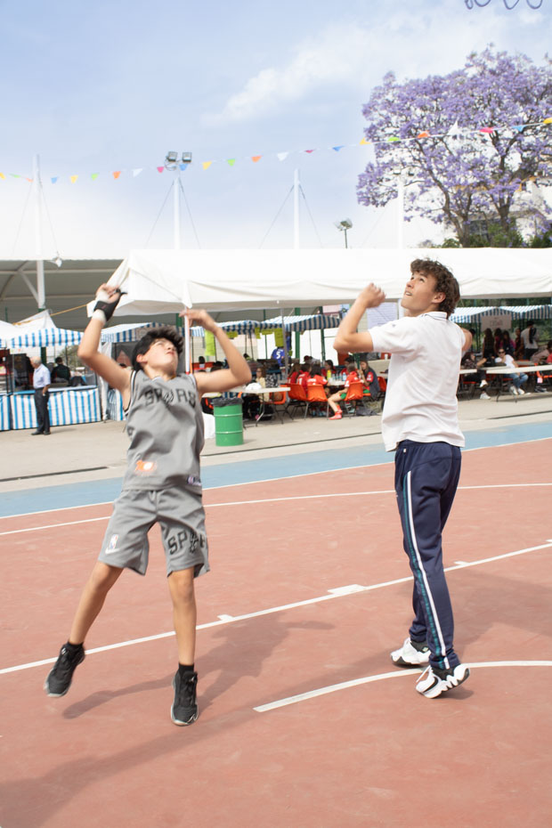 Ir a la Siguiente Foto